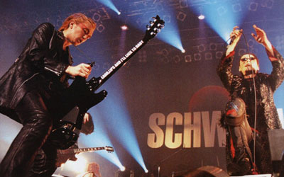 Schwein live